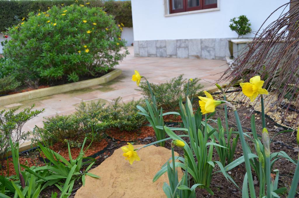 Vila Beija-Flor House Ribamar  Exteriér fotografie