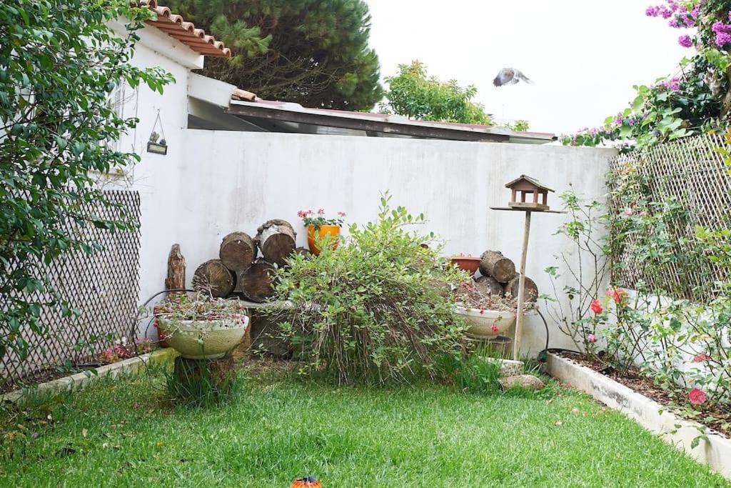 Vila Beija-Flor House Ribamar  Exteriér fotografie